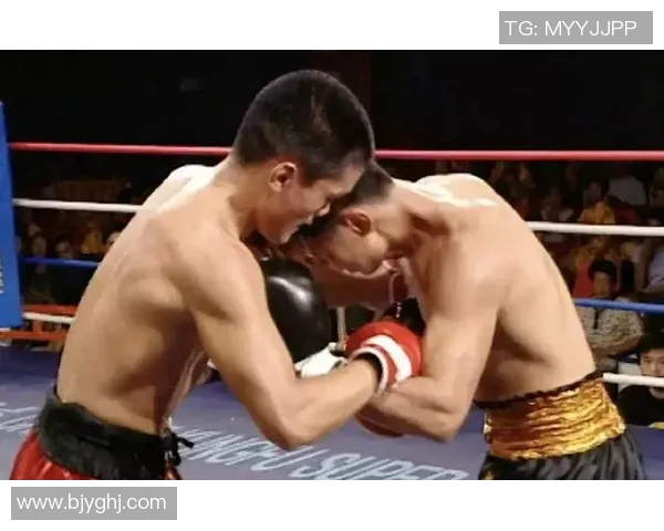 苑玉宝与宝力高的巅峰对决谁将成为拳坛新王者