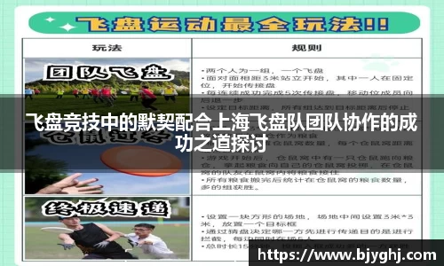 飞盘竞技中的默契配合上海飞盘队团队协作的成功之道探讨